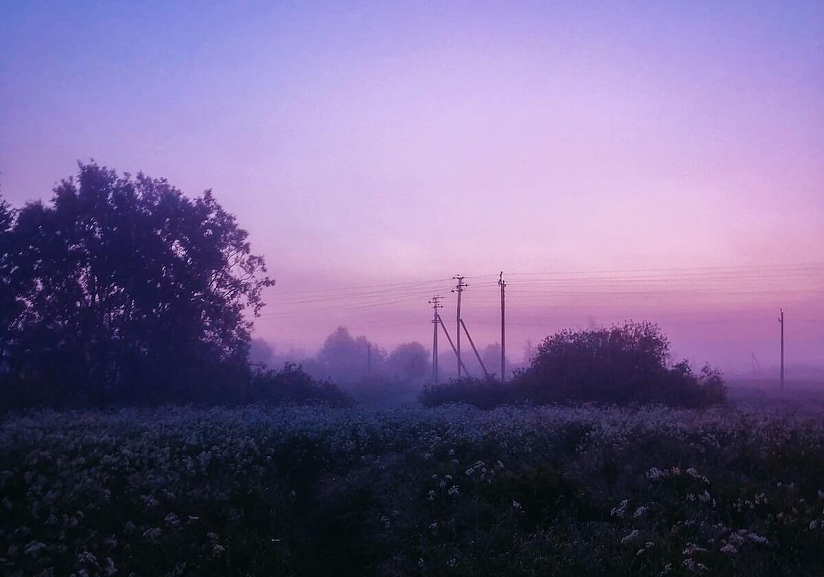 开云体育官方网-健步迎新春 武汉生态环保铁军再出发